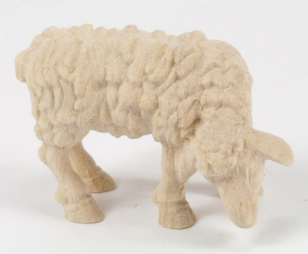 Raffaello-Krippe - Schaf essend