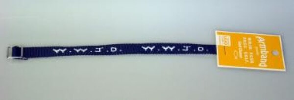 Armband - What would Jesus do?