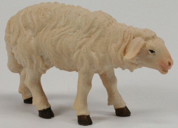 Kostner-Krippe - Schaf stehend vorwärtsschauend