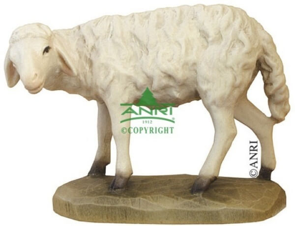 Karl-Kuolt-Krippe - Schaf stehend links schauend