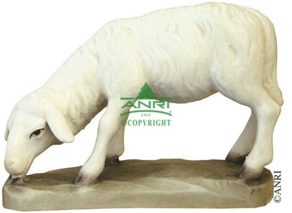 Karl-Kuolt-Krippe - Schaf äsend groß