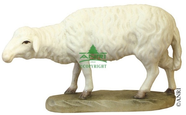 Karl-Kuolt-Krippe - Schaf stehend und schauend