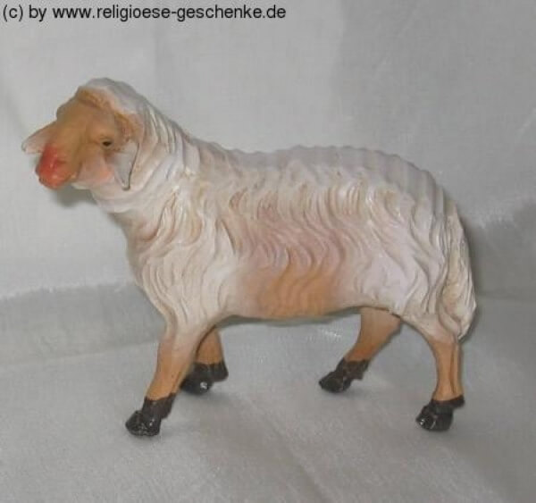 Carolus-Krippe - Schaf stehend links