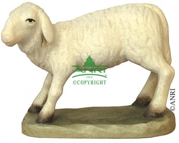 Karl-Kuolt-Krippe - Schaf gebückt stehend