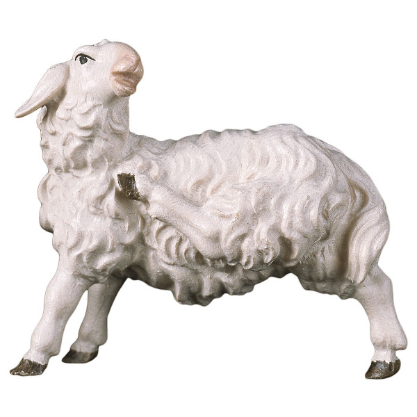 Ulrich Krippe - Schaf kratzend