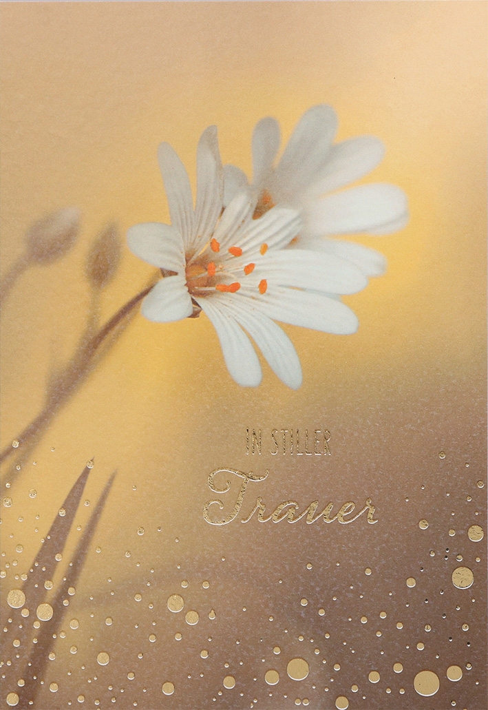 Clear Stamp 'Alles Hat Seine Zeit' - 1-delige Silicone Stempel Voor Kaarten En Crafts